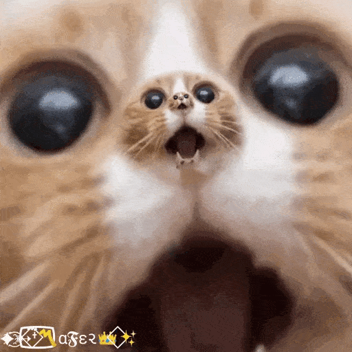 Animated Surprised Cat Illusion GIF Sticker