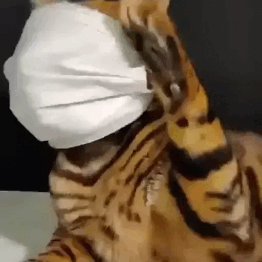 Download Masked tiger chill Animated GIF Sticker for WhatsApp