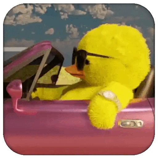 Duck cruising vibes GIF - Sticker for WhatsApp