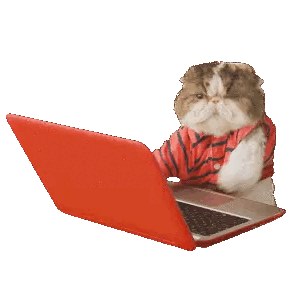 Animated Cat typing furiously GIF Sticker