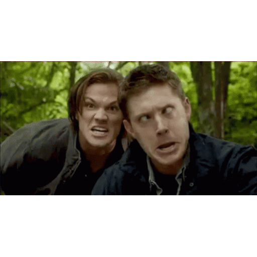 Animated Dean and Sam Winchester shocked GIF Sticker
