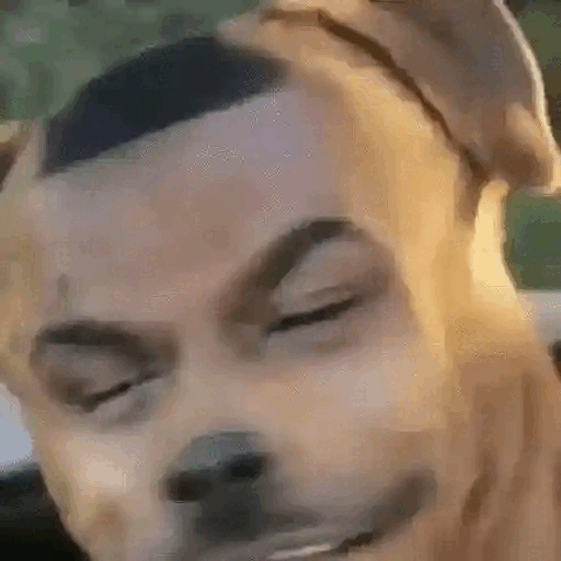 Human-dog hybrid look Animated GIF Sticker for WhatsApp