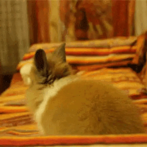 When you hear food being opened Animated GIF Sticker for WhatsApp