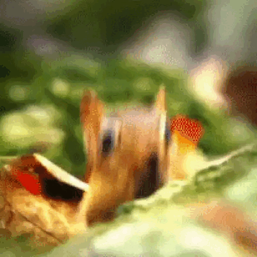 Dramatic Chipmunk Stare Animated GIF - Sticker for WhatsApp