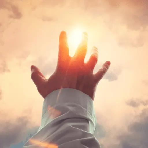 Reaching For The Light - Sticker for WhatsApp