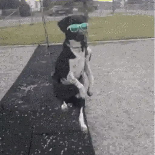 Cool Dog Chilling Animated GIF - Sticker for WhatsApp