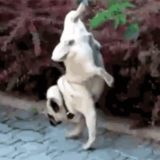 When You Try A New Yoga Pose Animated GIF - Sticker for WhatsApp