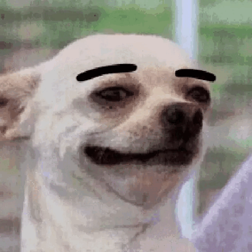Chihuahua with Eyebrows Side Eye Animated GIF - Sticker for WhatsApp