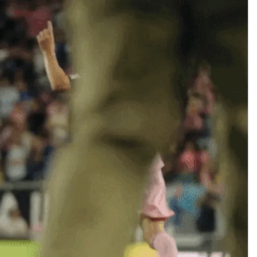 Messi Celebrating Victory Animated GIF - Sticker for WhatsApp & Telegram