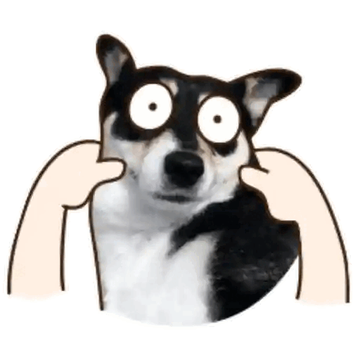 Surprised Dog Expression Animated GIF - Sticker for WhatsApp & Telegram