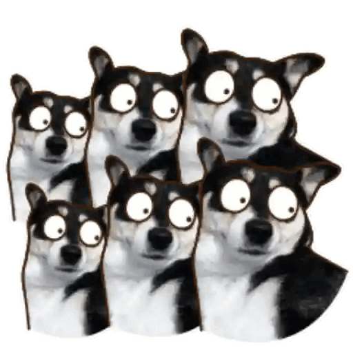 When You Hear Something Suspicious Animated GIF - Sticker for WhatsApp & Telegram