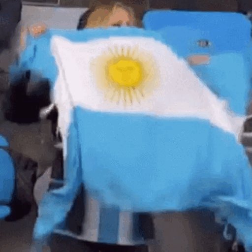 Celebrating Argentina's Victory Animated GIF - Sticker for WhatsApp & Telegram