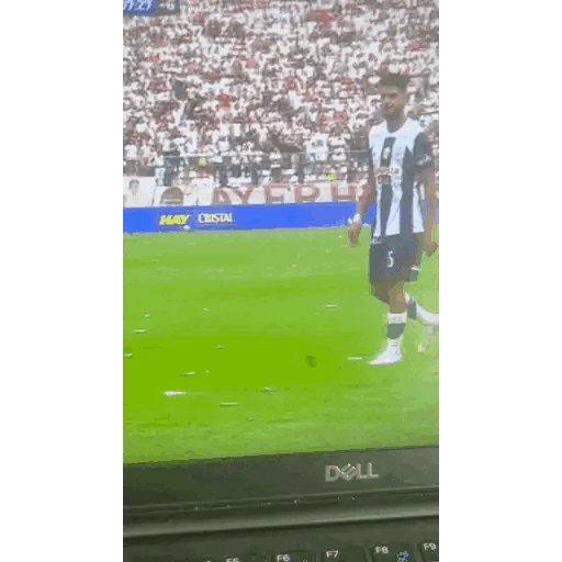 Goal Celebration Strut Animated GIF - Sticker for WhatsApp & Telegram