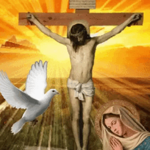 Holy Reflection Animated GIF - Sticker for WhatsApp & Telegram