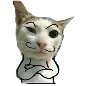 Confident Cat Meme