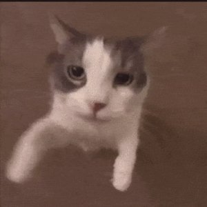 Playful Cat Reaching Out