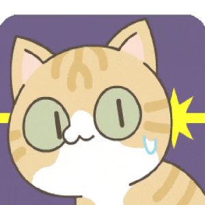 Surprised Cat Reaction