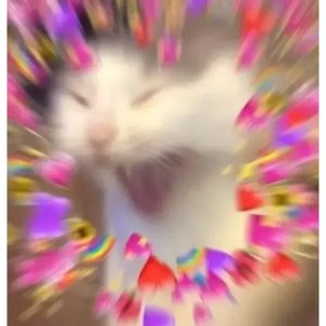 Excited Cat with Colorful Hearts