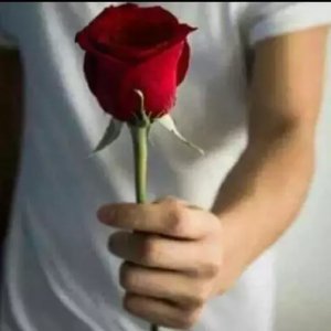 Romantic Red Rose Gesture