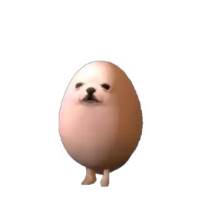 Egg Seal Dance