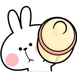 Bunny with a Bun