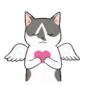 Angel Cat with Heart