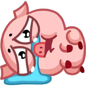 Crying Piglet