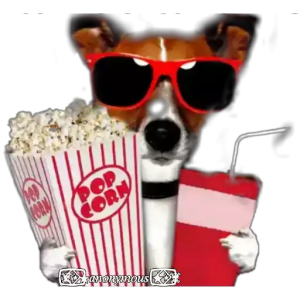 Cool Dog Movie Night