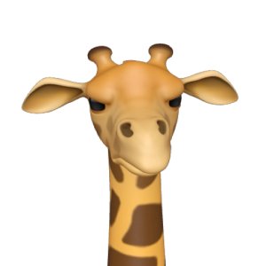 Skeptical Giraffe