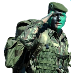 Military Salute