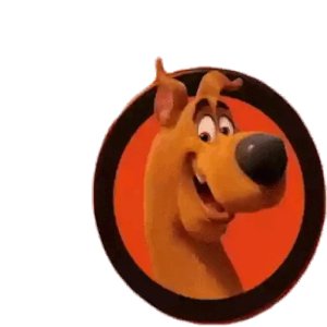 Scooby-Doo Playful Dog in Circle