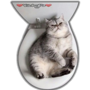 Chill Cat in Toilet