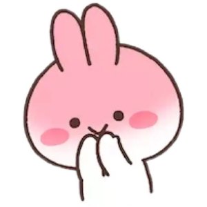 Blushing Bunny Delight
