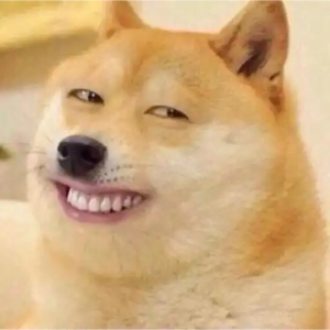 Shiba Inu Cheeky Doge Grin