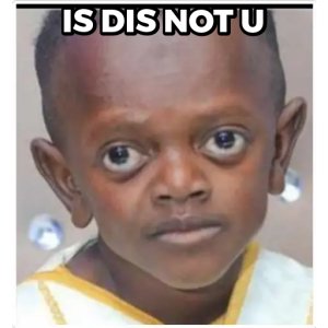 Mamberroi Jr Is Dis Not U Meme