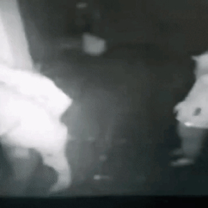 Creepy night vision dance