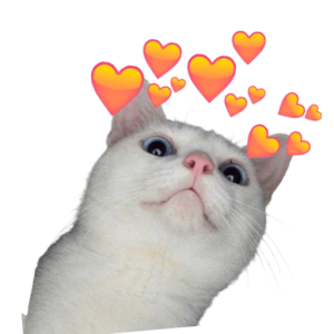 Heart eyes kitty
