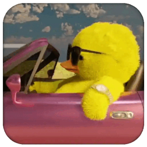 Duck cruising vibes