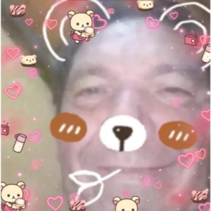 Bear filter overload