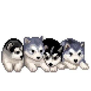 Pixel husky squad