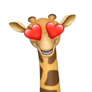 Giraffe in love
