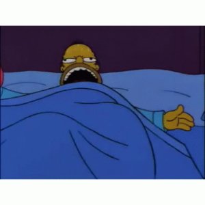 Homer's midnight scream