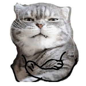 Buff cat flexing