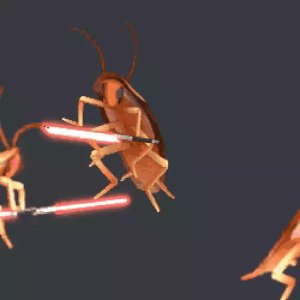 Cockroach Battle