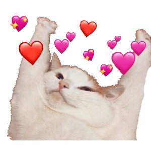Joyful cat with hearts