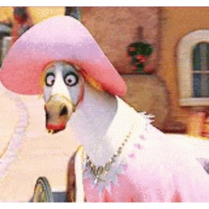 Pink hat bird