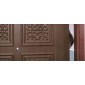 Peeking through the door