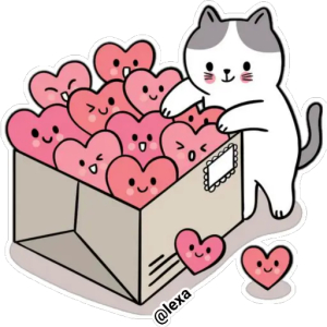 Cat in a box of hearts