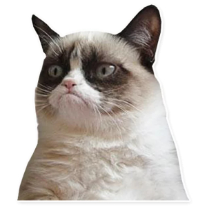 Grumpy cat look