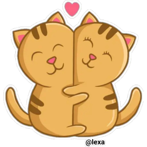 Cat cuddle time
